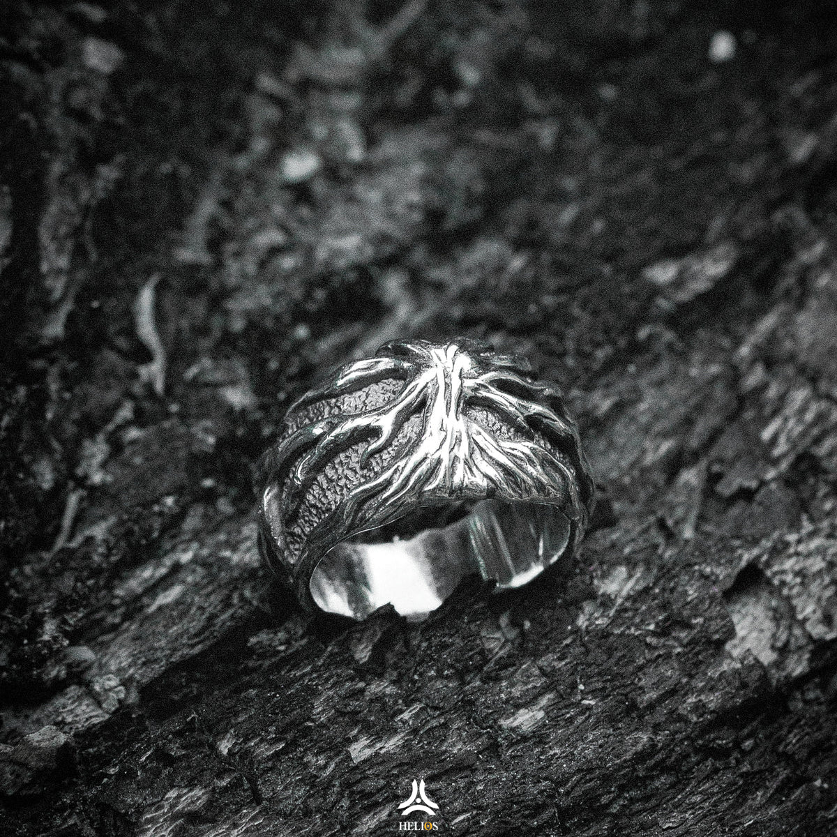 Angelim - Image 4