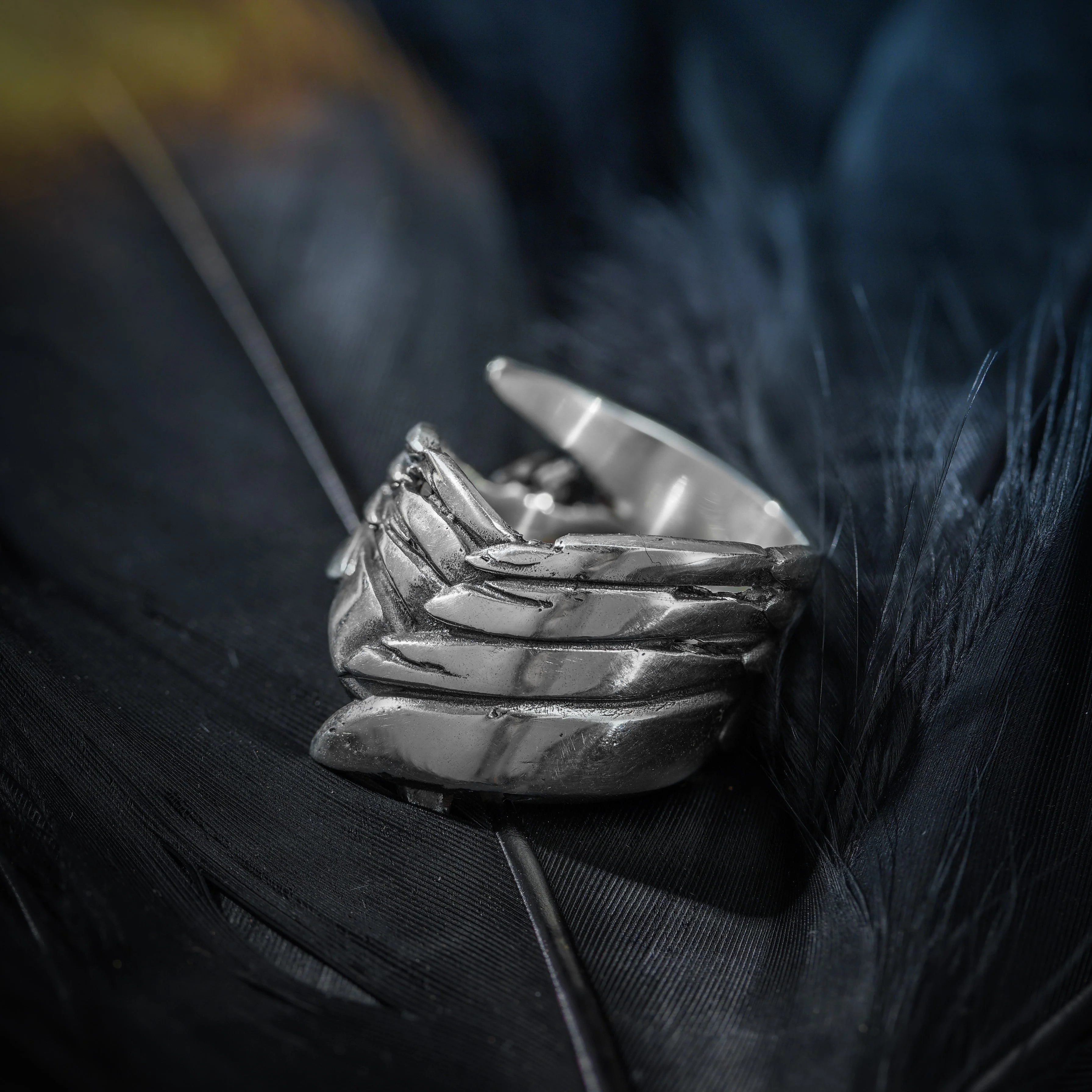 Freedom - Image 5